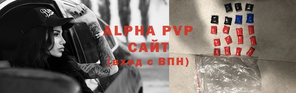 крисы Алексин