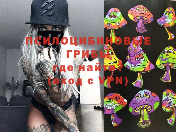 крисы Алексин